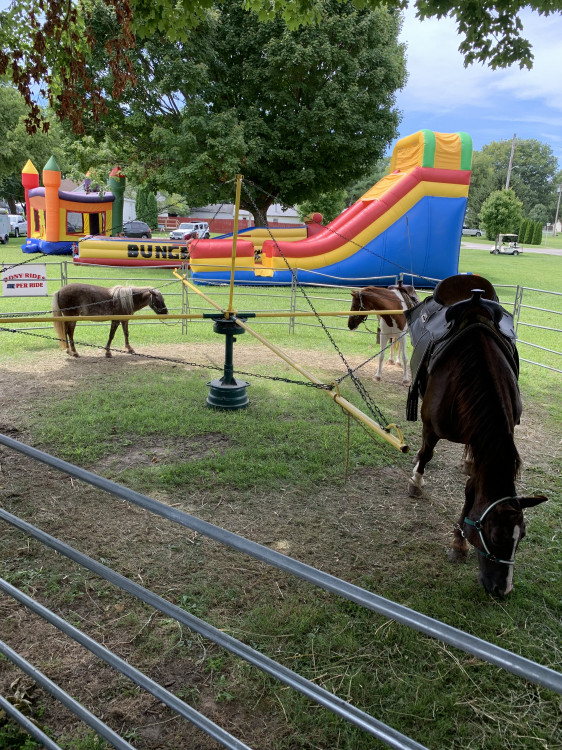 Amish Pony Rides
